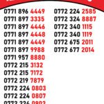 Golden Numbers Shit 3