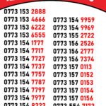 Golden Numbers Shit 4